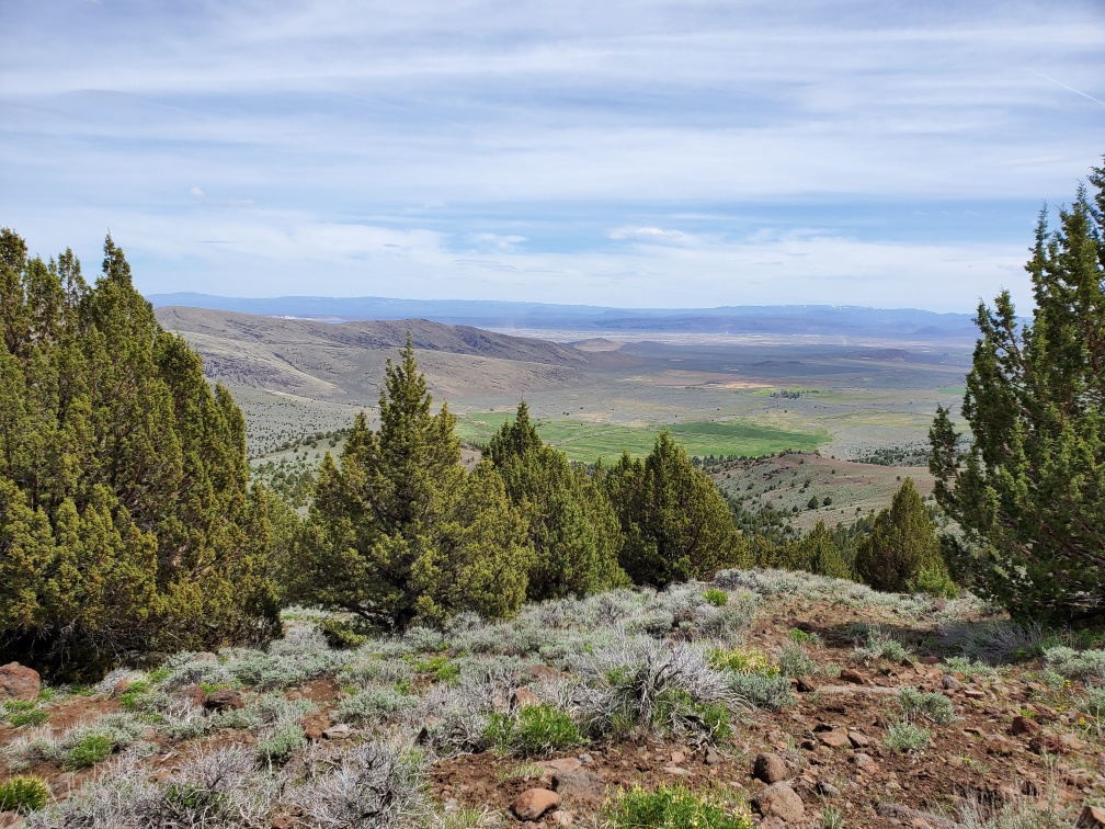 DT-056-2022-05-18 View back of Whitehorse Canyon